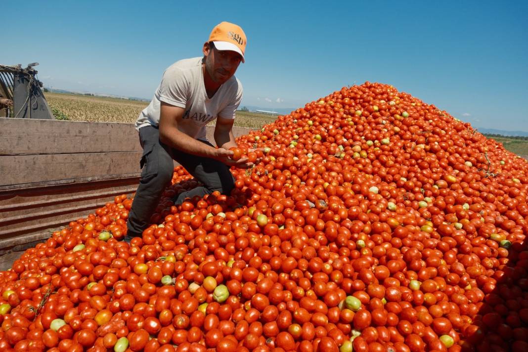 Konyalı çiftçinin bu telefonu almak için bir kamyon buğday satması gerekiyor 5